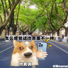“外卖员不能看配送地址