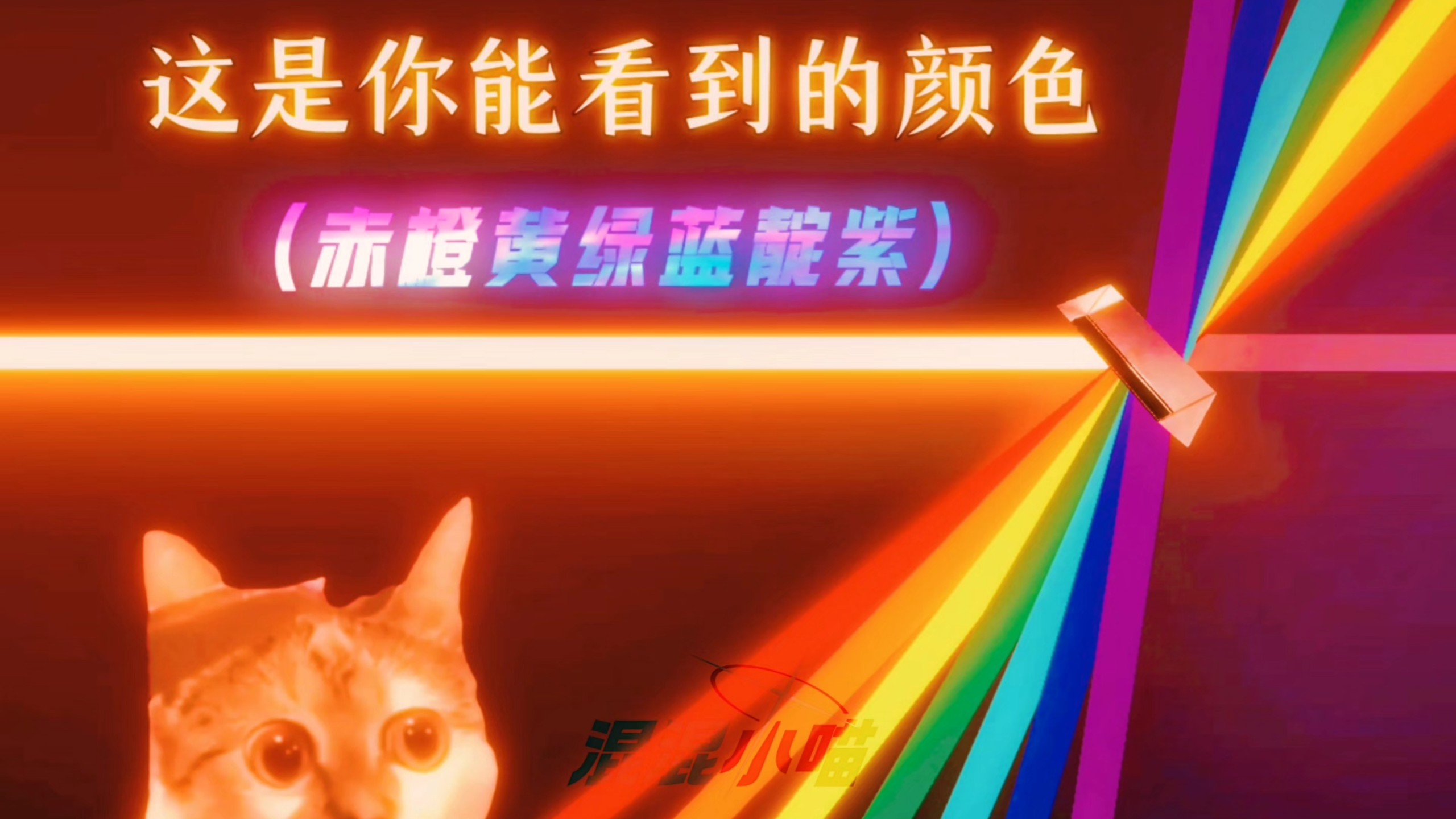 混混喵的科学小剧场【合集】