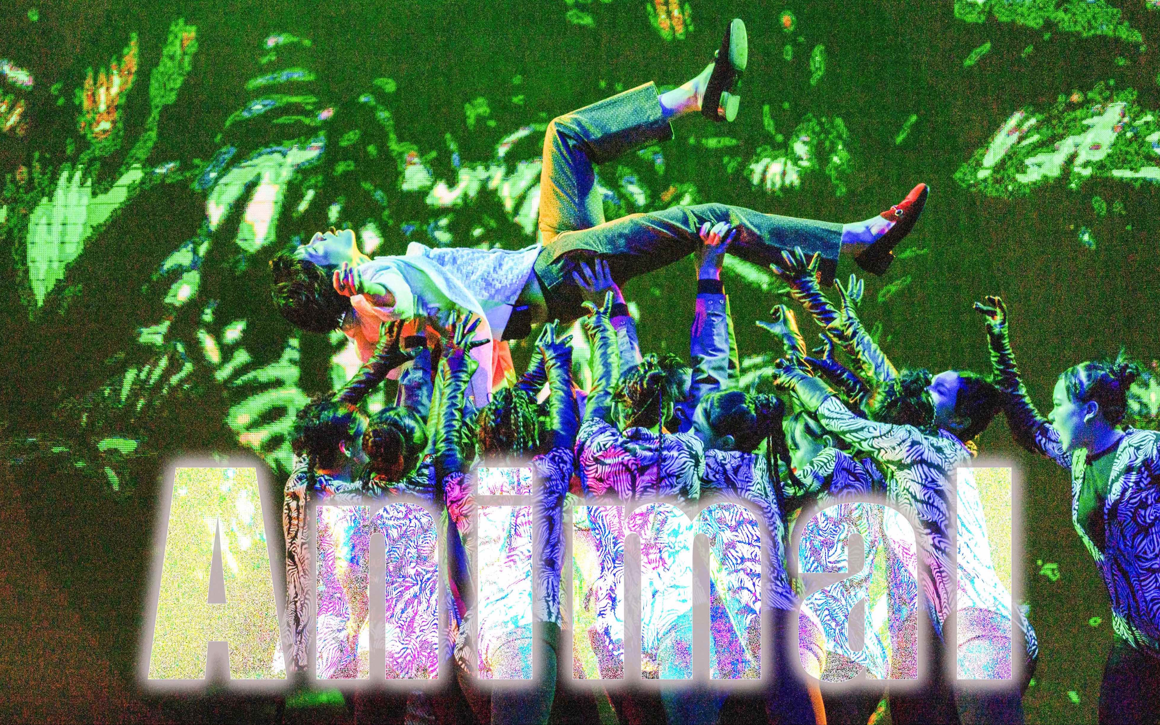 【钟汉良】高级的猎手往往都是以猎物的形式出现 | Animal本能动物 | 20230730上海O演唱会