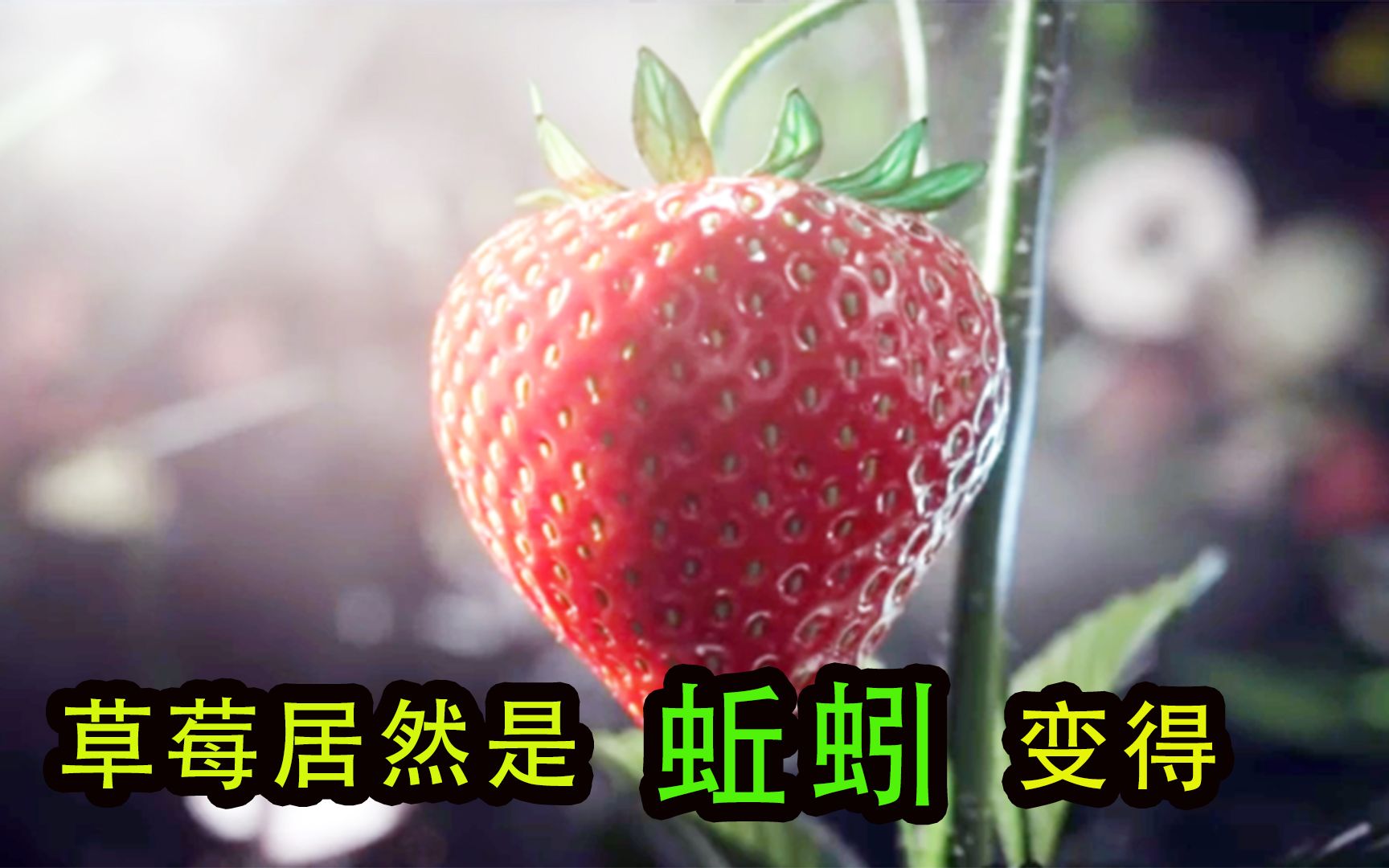 草莓居然是由蚯蚓变成的，奇幻短片
