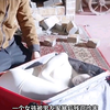 女孩被害，尸首不见了