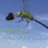 【ORF 纪录片】空中的猎手：蜻蜓的世界 / Sky Hunters: The World of the Dragonf