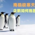 南极那么冷，为什么抱团取暖的企鹅最外层不会被冻死？
