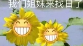 020bcb7e1d6a4e8c6d3e7d1f77678209288d9b7a.jpg@280w_158h_1c_100q.jpg
