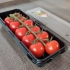 温室番茄无土栽培（岩棉培）生产流程