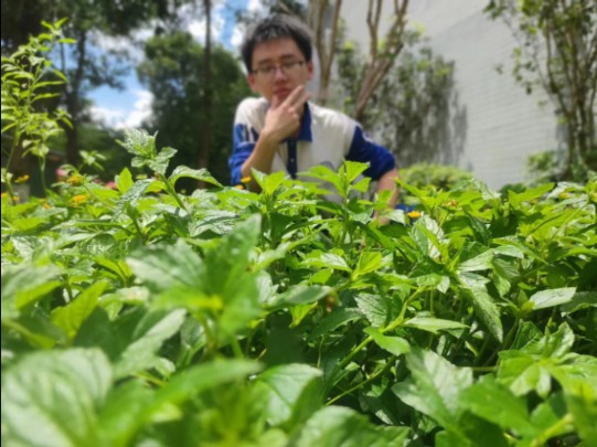 高二的最后一次放学