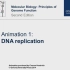 【动画】DNA复制 DNA Replication 《分子生物学：基因功能原理》1