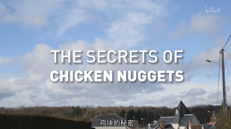 【纪录片】鸡块的秘密