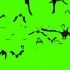-绿幕素材 蝙蝠 视觉 高清绿幕素材飞来的蝙蝠
