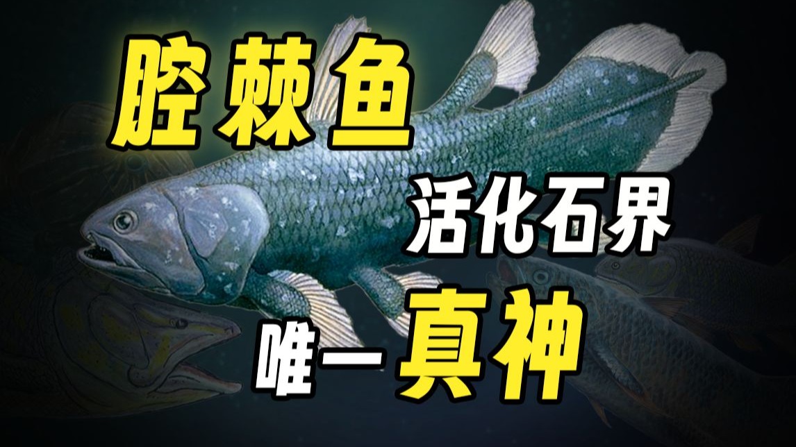 【鬼谷闲谈】腔棘鱼为何会被时间遗忘