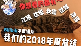免费送猫好吗 02ac6833b5977d5f3415635d33f47f97308eb7e1.jpg@280w_158h_1c_100q.jpg