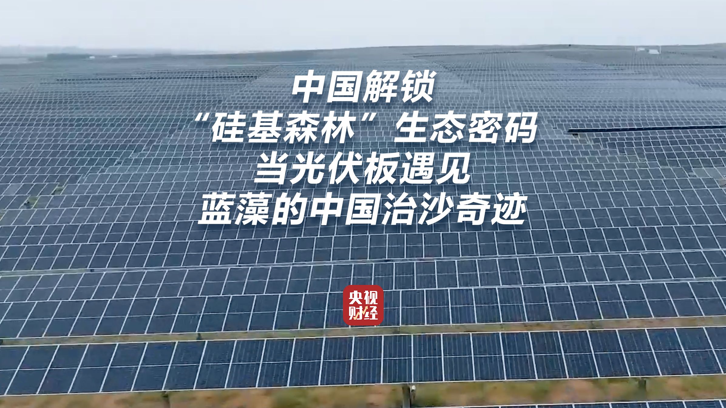 #中国解锁硅基森林生态密码 #当光伏板遇见蓝藻的中国治沙奇迹 #纪录片逐光