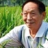 中国骄傲！87岁袁隆平再创水稻神话碾压国外，增产可多养2亿人！