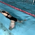 蛙泳腿最全动作讲解，练习步骤，错误示范蛙泳是四种泳姿里唯一以腿为主要推进力来源的，想要游快，请蹬好腿
