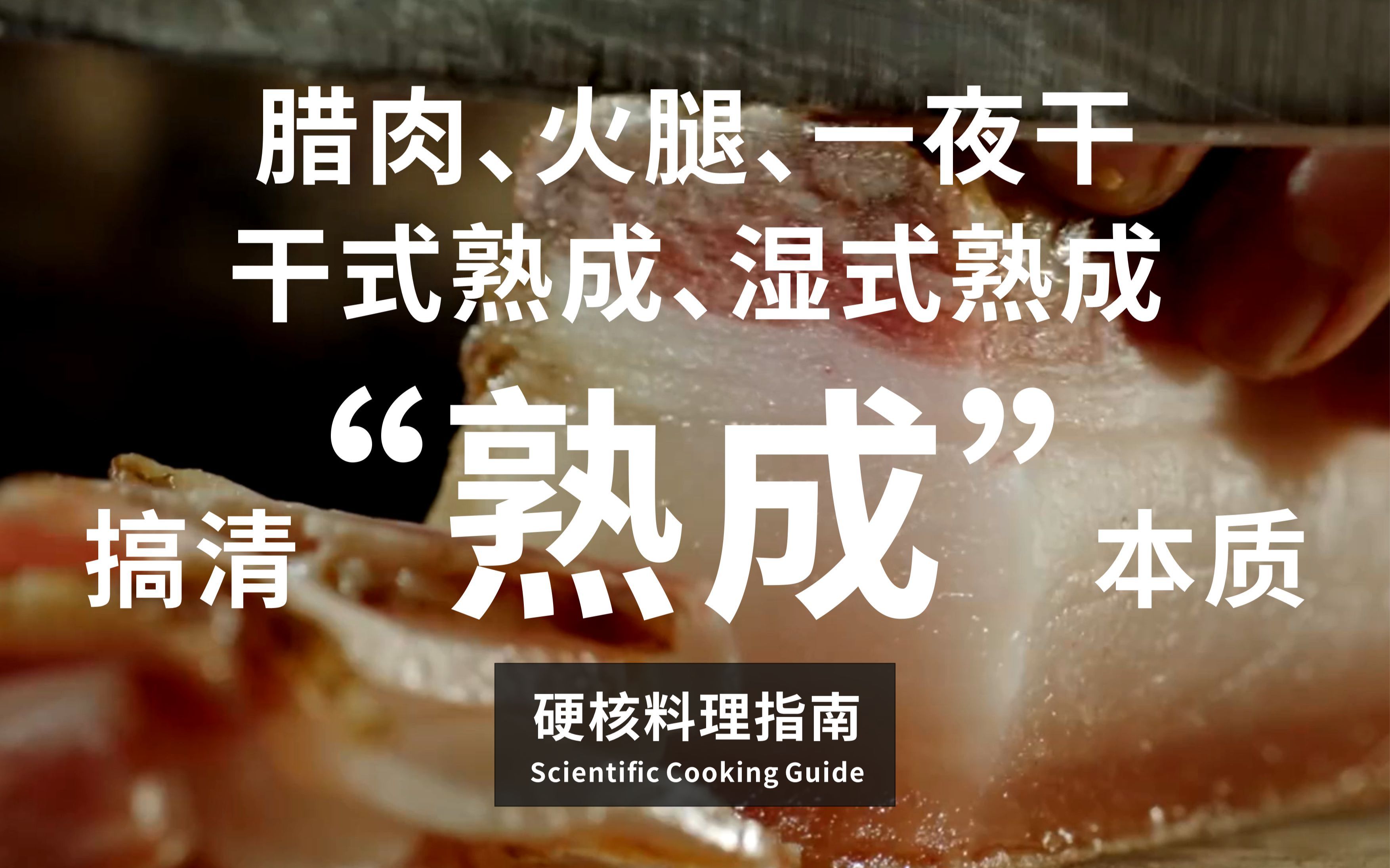 硬核烹饪指南06期：一张图搞清“熟成”的本质，腊肉、火腿、一夜干、干式熟成、湿式熟成全解析