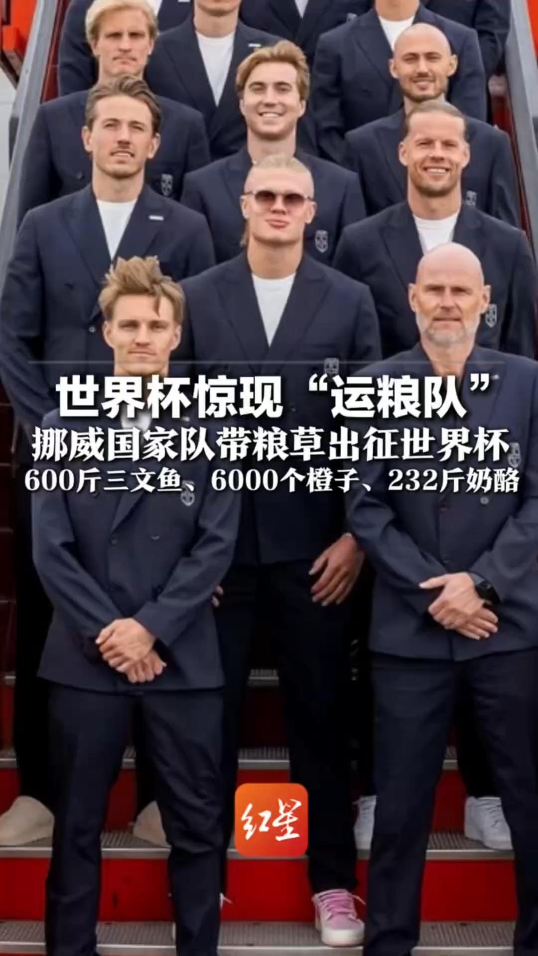 世界杯现“运粮队”挪威国家队带粮草出征世界杯600斤三文鱼、6000个橙子、232斤奶酪 网友：预祝哈兰德吃完再回！