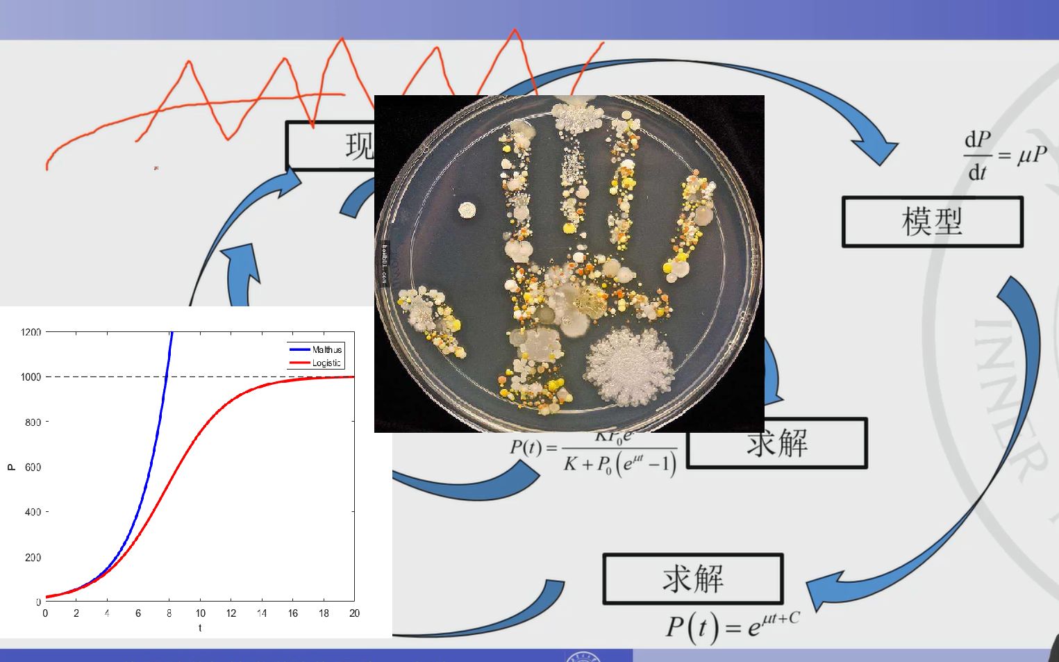 MATLAB实验：高中生物S型曲线原理与微分方程，logistic模型和龙格库塔法原理