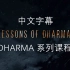 [教程] Lessons of Dharma 中文字幕 持续更新 / KSHMR所属厂牌