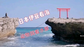 03079d3c030b81da5ac2755258677d3ec1edef6b.jpg@280w_158h_1c_100q.jpg