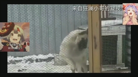 到底什么是人类的极限 031623d7ab4fcc2a987563b7b280212c3eb36af6.jpg@280w_158h_1c_100q.jpg