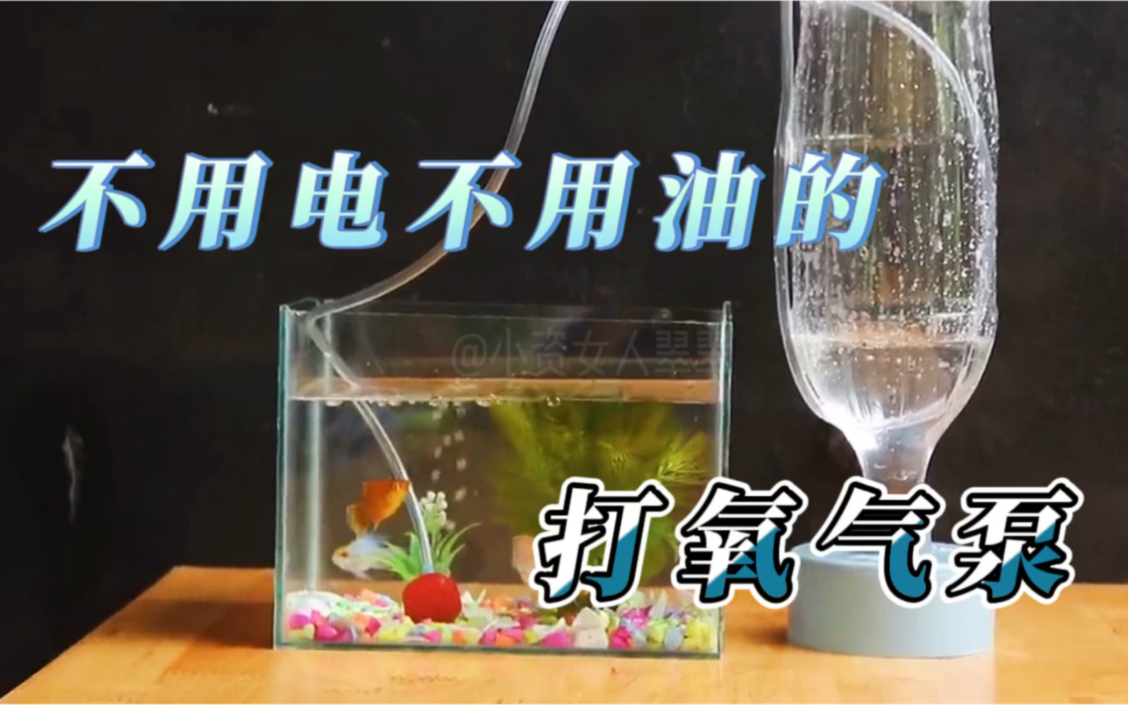 教你做不用电的打氧气泵，再也不用花电费了