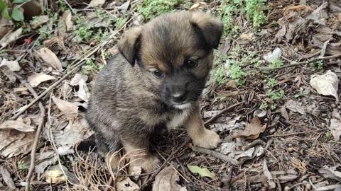 031b06ca4d50841376b46ca39ae817b38885875e.jpg@480w_270h_1c