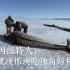 北极因纽特人：用独角鲸补充维生素，拿鲨鱼肉当狗粮（BBC纪录片）