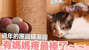 031fdfe587d7e5b1487b91f73d20dc1fe0a5b9d3.jpg@310w_174h_1c_100q.jpg