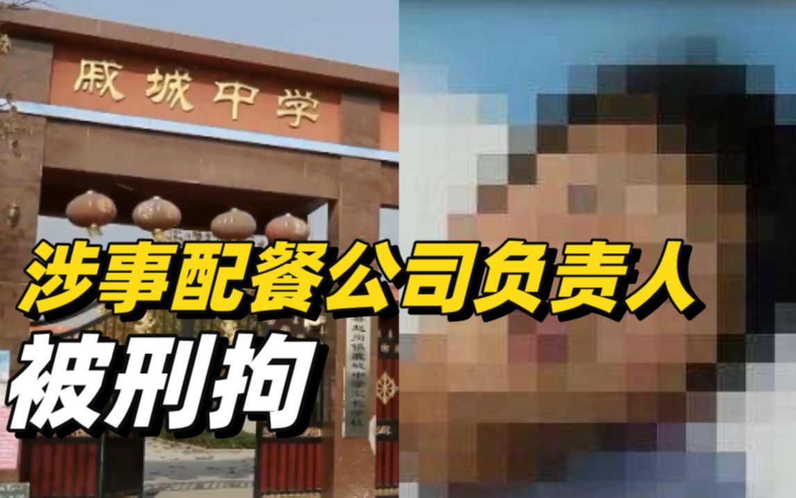 河南封丘“学生呕吐腹泻”事件涉事配餐公司负责人被刑拘
