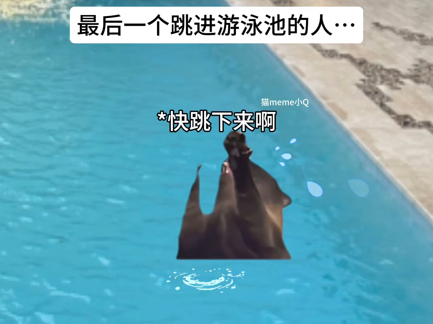 最后一个跳进泳池的人……