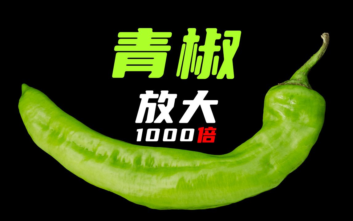 把青椒放大1000倍能看到什么？