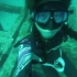 在普吉岛自由潜水是什么体验？