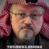 【纪录片】沙特王储 Frontline: The Crown Prince of Saudi Arabia