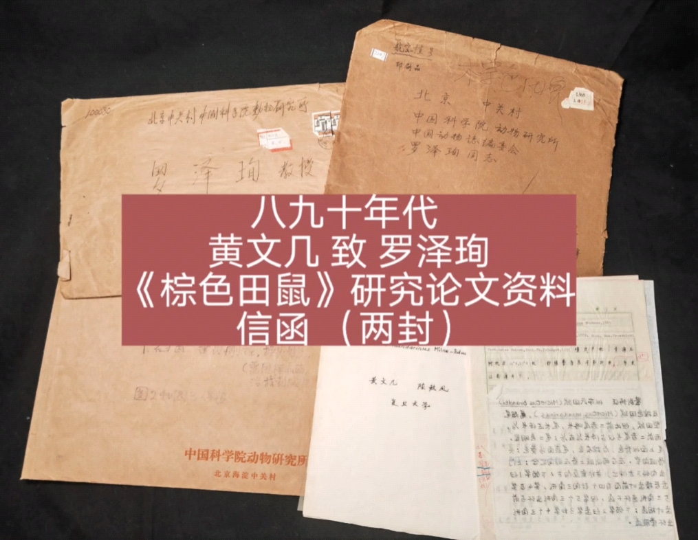 八九十年代 黄文几 致 罗泽珣《棕色田鼠》研究论文资料 信函(两封)