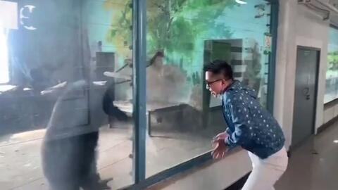 翻车视频 03a767c6f42761c8a4bd3ef50fd7afb0cc7e6c1a.jpg@480w_270h_1c