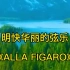 明快华丽的弦乐《ALLA FIGARO》(美哉 费加罗)