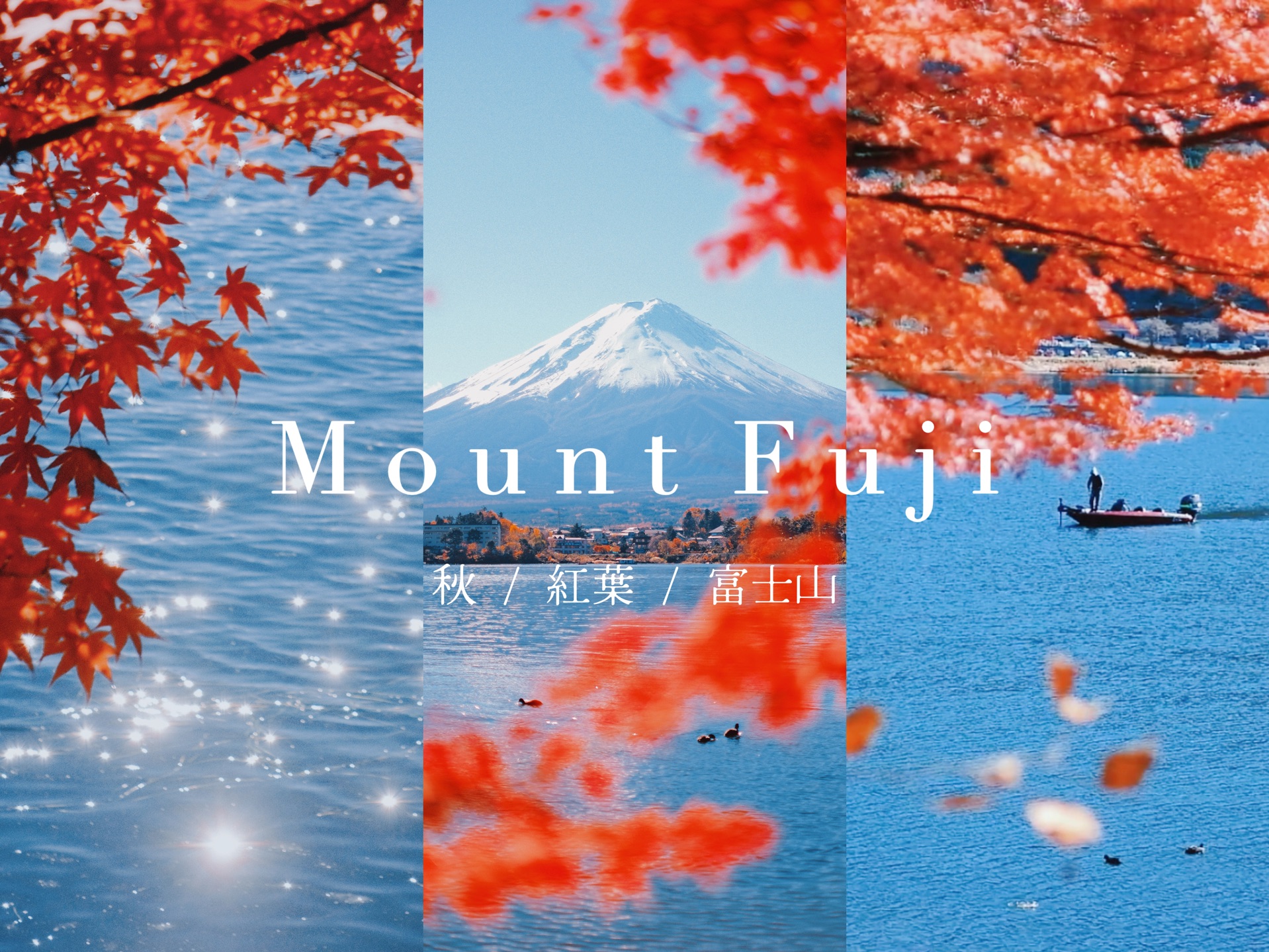 富士山 | “秋日赋予万物温柔的诗意” | 河口湖红叶季 | 电影感旅行短片 | 治愈系