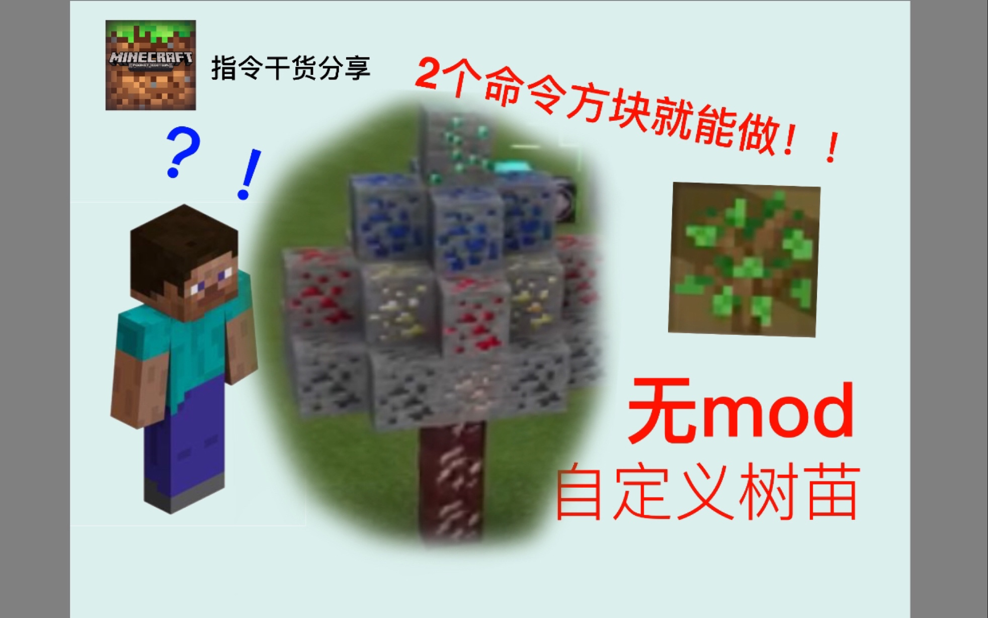 Minecraft 指令干货分享ep15 带你做极简自定义树苗 告别一做就废 哔哩哔哩 つロ干杯 Bilibili