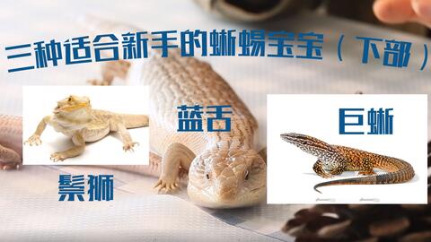 03e2a76dc98452599b33e5c6b8429b90a0d4f7de.jpg@480w_270h_1c