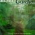 Secret Garden- Papillon