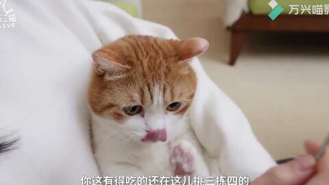 0415824c174af0eb450ee36987a29e2a1a3cbeed.jpg@480w_270h_1c