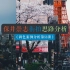 街拍暗青调【第53期ps调色】/仿色/日系
