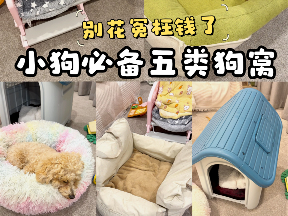 别乱买狗窝了！这五种类型通通搞定