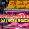 韩国年内将立法禁食狗肉，从2027年正式开始实施