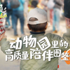 听听妈妈的话，她们想说的都在这里了【我是动物园