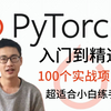 PyTorch入门到精通！整整100个练手项目合集，B站最通俗易懂的深度学习pytorch实战教程，绝对适合所有新手小白！-PyTorch/PyTorch安装