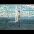 [鈴芽戶締] 主題曲 (中日字幕) 新海誠新作【すずめの戸締まり】 完整版OST