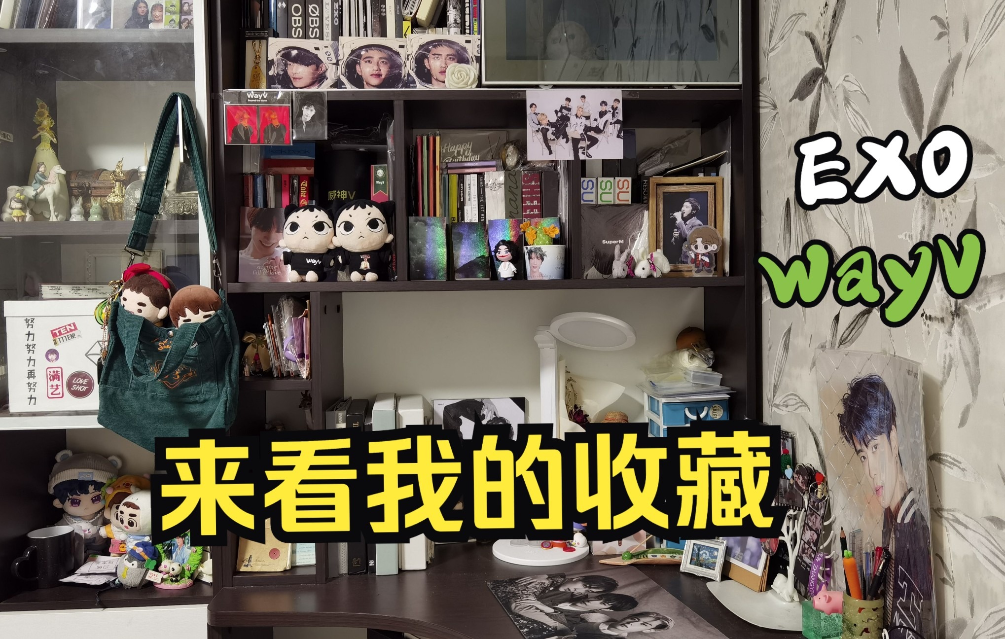 【EXO】【WayV】双厨团粉的书柜有什么｜来看我的收藏