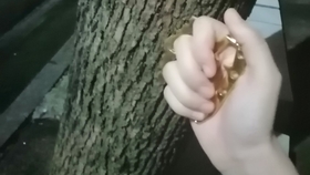 04c80fce3174626d999b946159bf97a3e20608d3.jpg@280w_158h_1c_100q.jpg