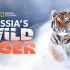 【国家地理】俄罗斯野生老虎 1080P 中英双语字幕 Russia's Wild Tiger（2022）